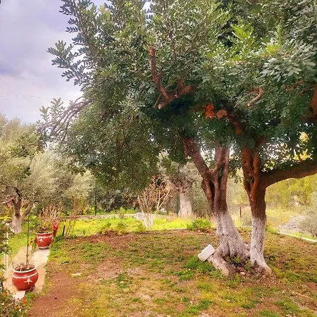 Relax Life_peloponisos Holiday home